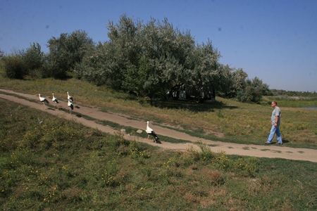аист3