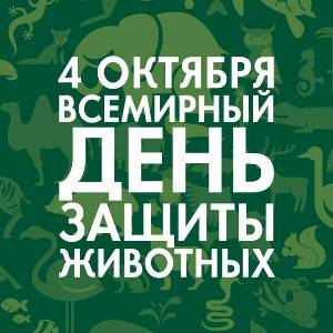 день защиты