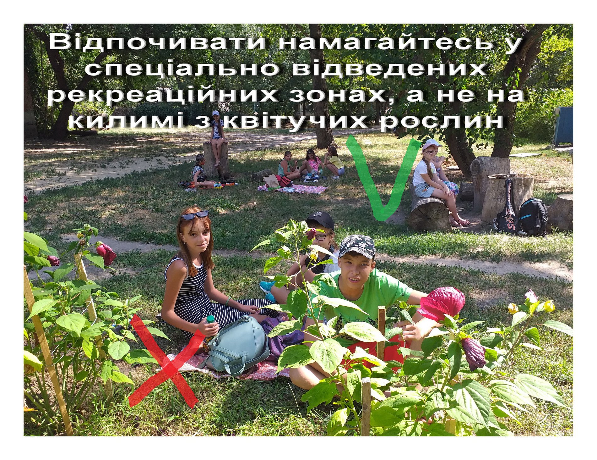 Пікнік під гібіскусом