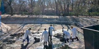 Прибирання  великих ставків 