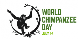 Всесвітній день шимпанзе