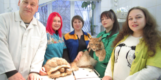 Day of veterinary medicine workers