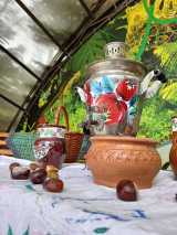 В теплих обіймах осені