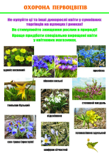The educational campaign is devoted to the preservation of rare plants