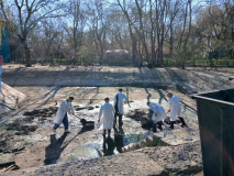 Прибирання  великих ставків 