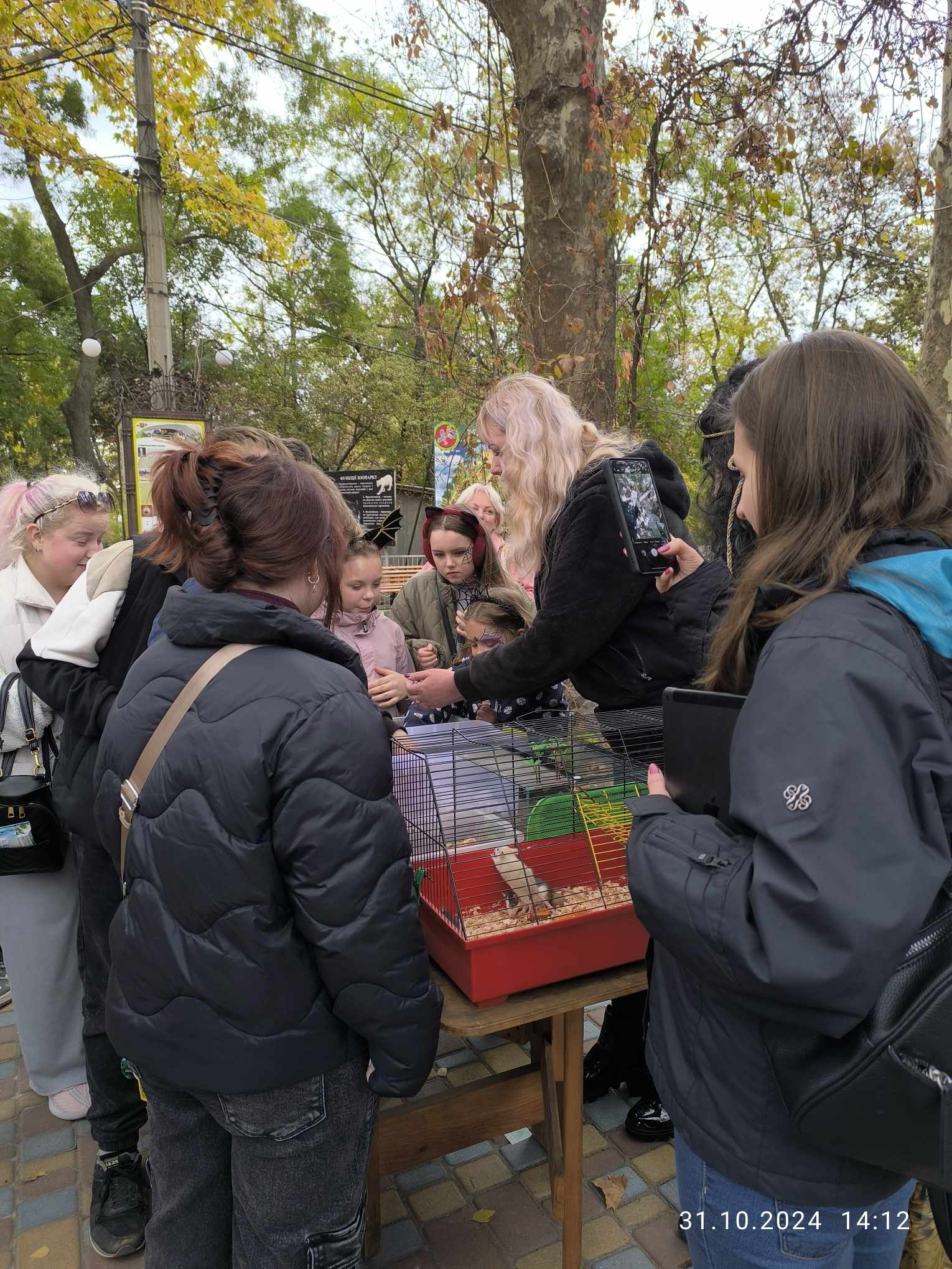 500955144_1287728030024826_3568856168694378384_n