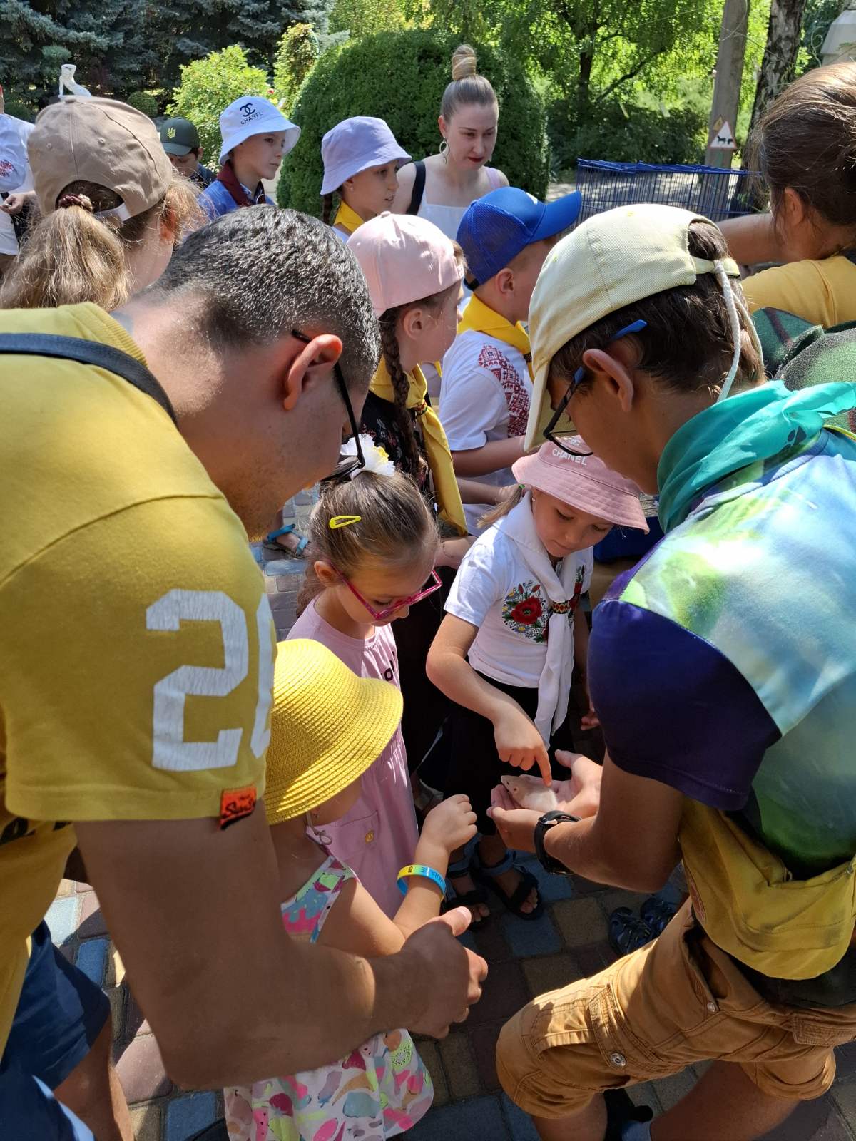 501284812_1287728500024779_6870014255392067831_n