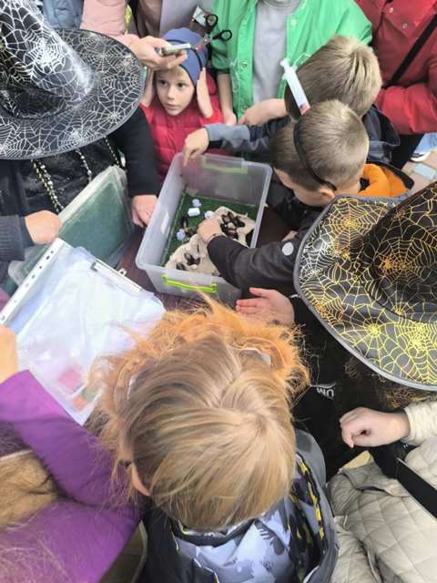 573516777_1429824552481839_7878036629469288386_n