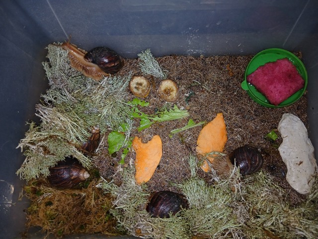 595210256_1463805192417108_7873839059417108689_n