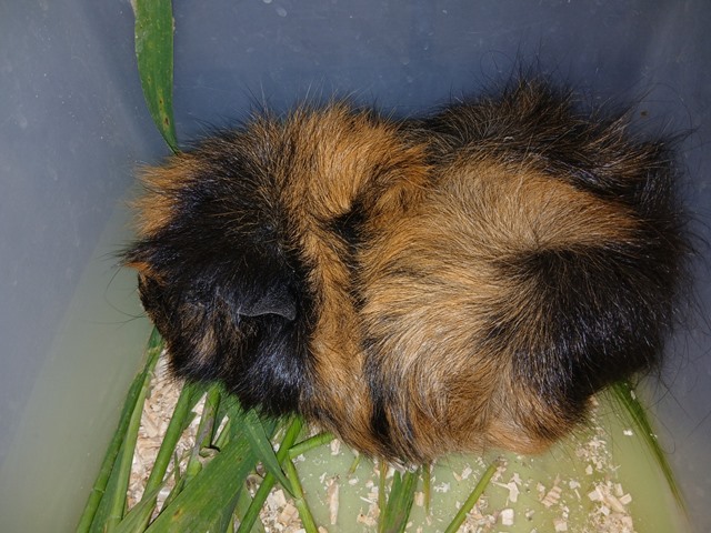 597388112_1463805182417109_6164307096535775949_n