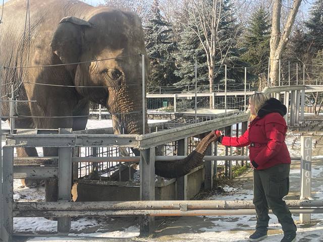 615820691_1494939852636975_3412063395944725682_n