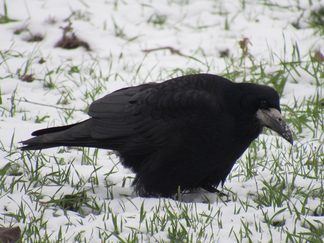 617068833_1498436275620666_2159848981552621130_n