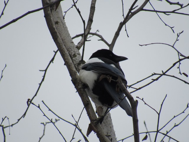 617556002_1498436265620667_1046930957077206017_n