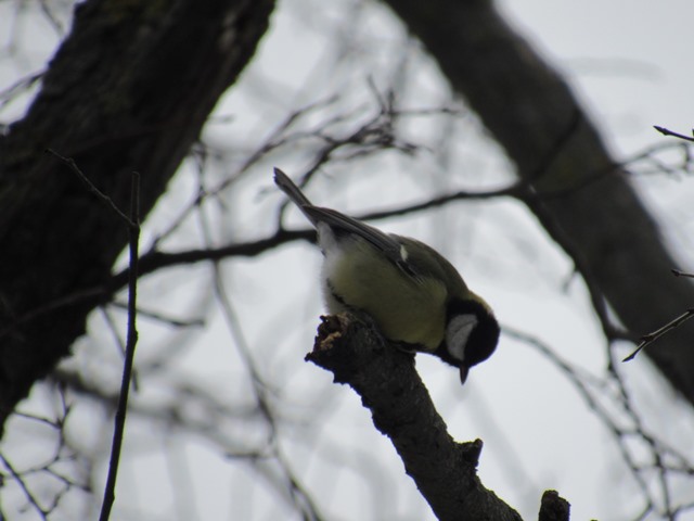 618578460_1498436278953999_7930810927083698225_n