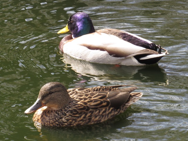 633132600_1521533623310931_5393241054285702577_n_1