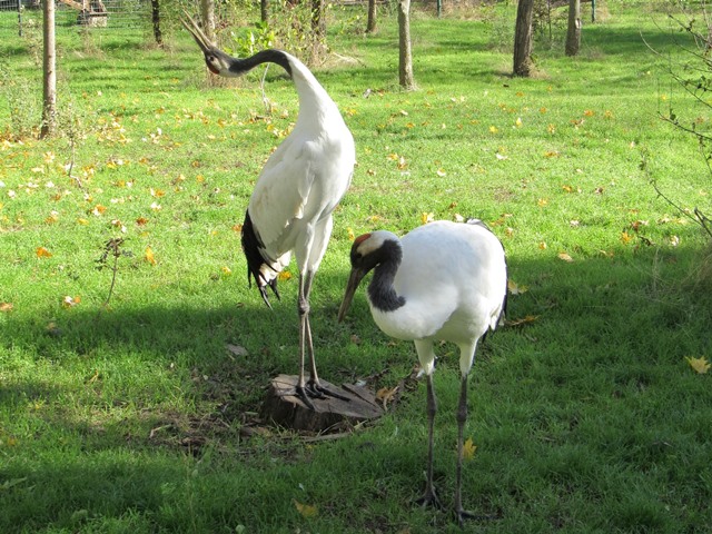 633405915_1521534369977523_3167991389764819925_n