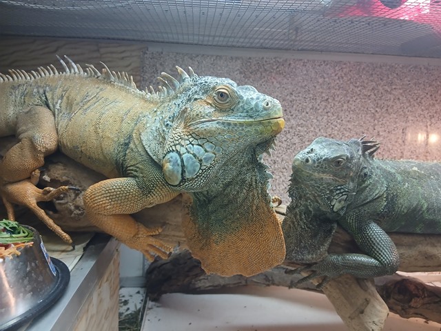 633873398_1521533313310962_6769309750893895497_n