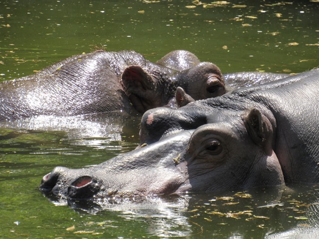 634107928_1521533303310963_8451782849443029524_n