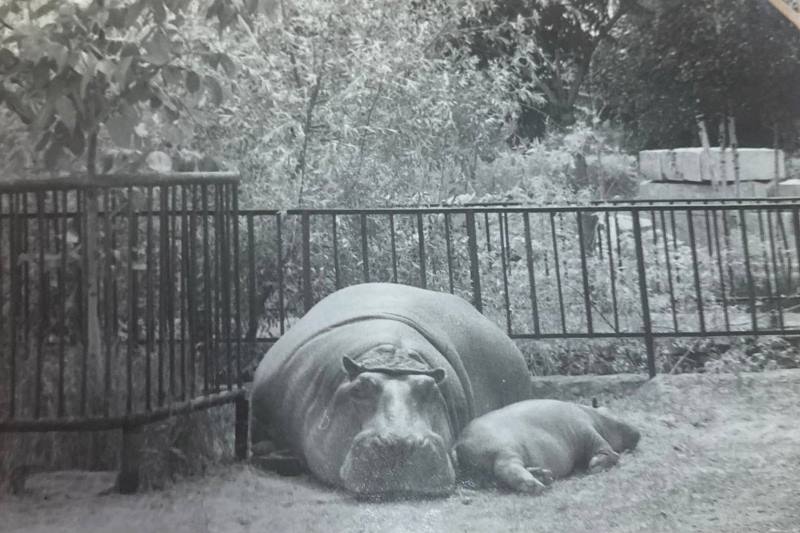 634394105_1524496729681287_7697900414669317803_n