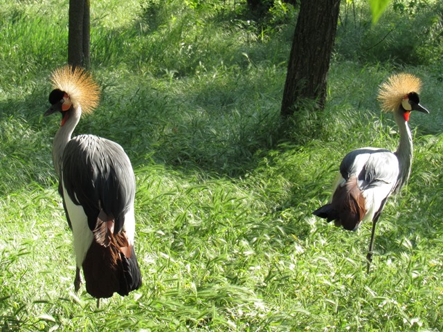 634450896_1521533273310966_5523769298999705525_n