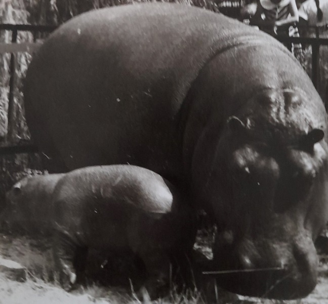 634809044_1524496726347954_3857091517766377669_n