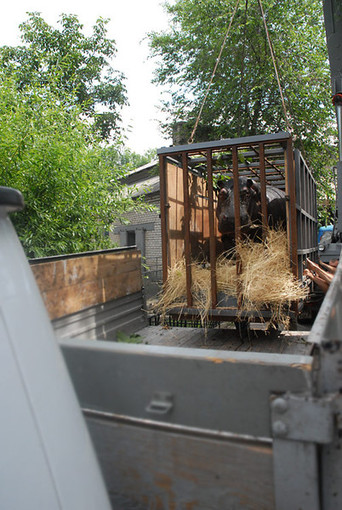 634876318_1524496703014623_6293415497066175044_n