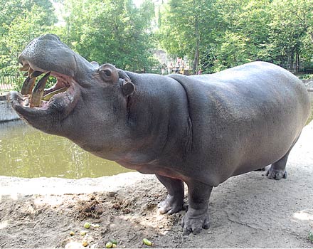 634938785_1524496686347958_4086624270012376831_n