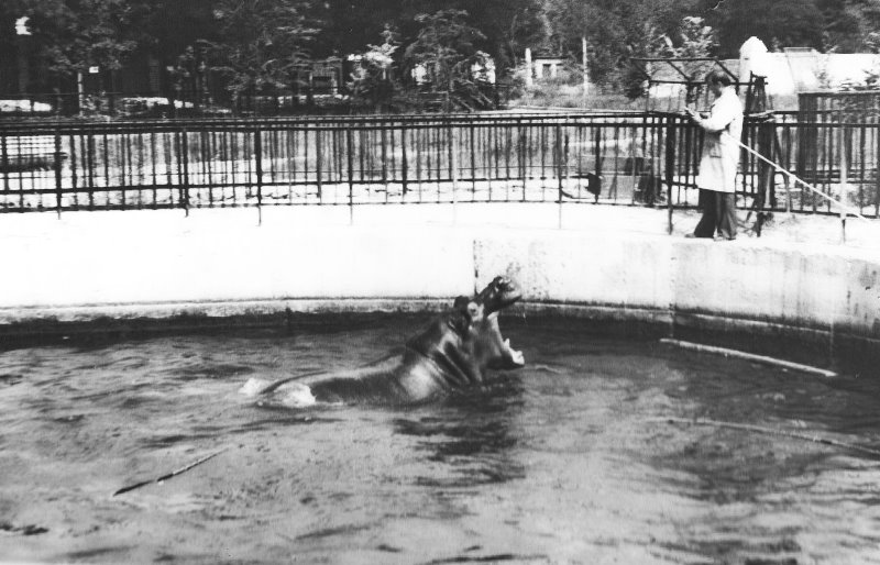 636684447_1524496753014618_8555779102251946059_n