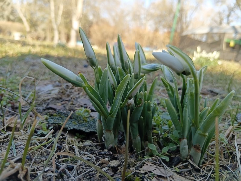 641223575_1532083272255966_8404905536201589998_n