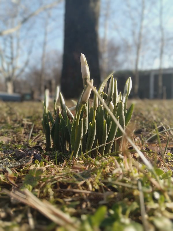 641325599_1532082988922661_1926218228741872981_n