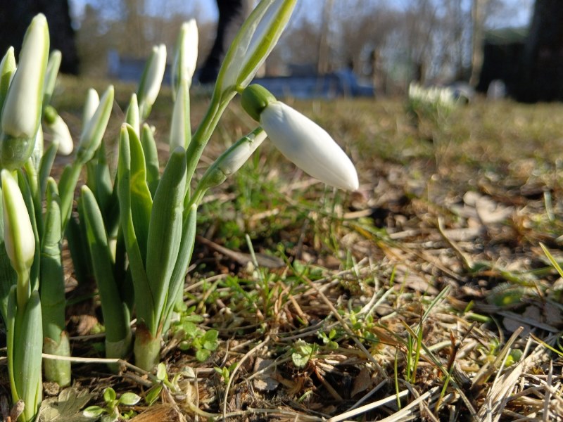 641381734_1532082918922668_7512040852254033424_n