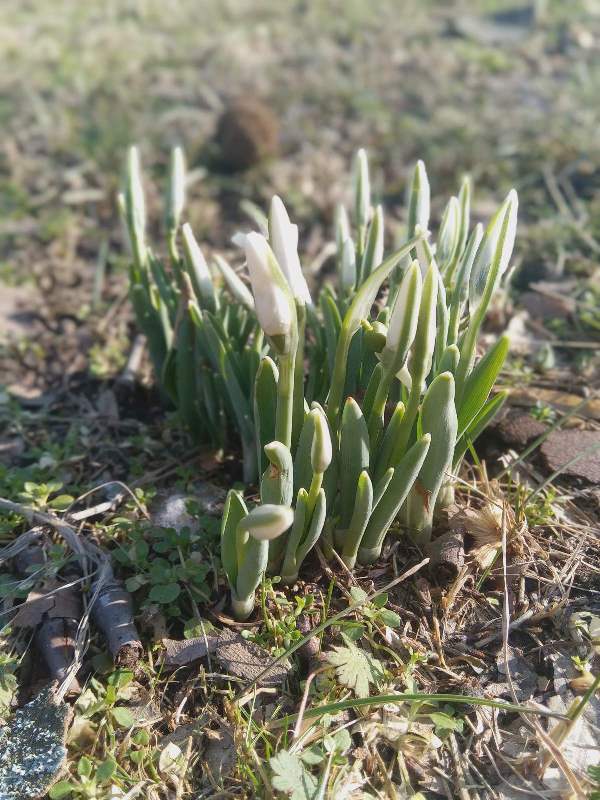 641506399_1532083255589301_3215377200173877973_n