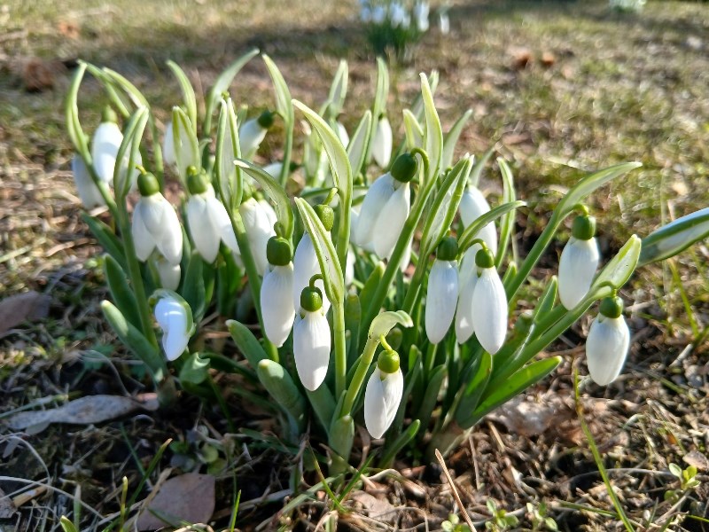 644532311_1538055174992109_8689204877573155298_n