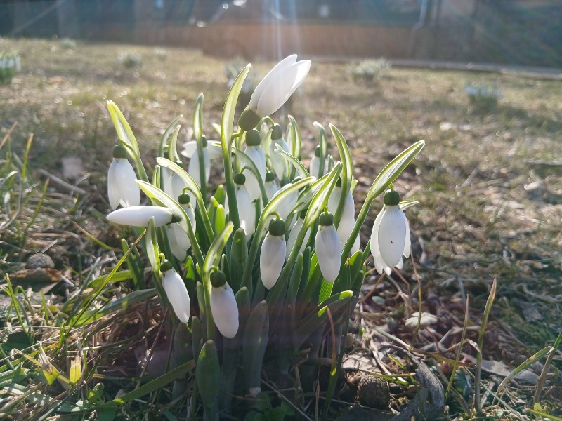 645724977_1538055311658762_1765380808086102007_n