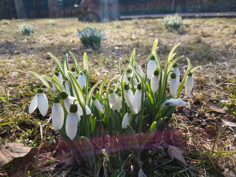 645884711_1538055128325447_5877927657652033262_n