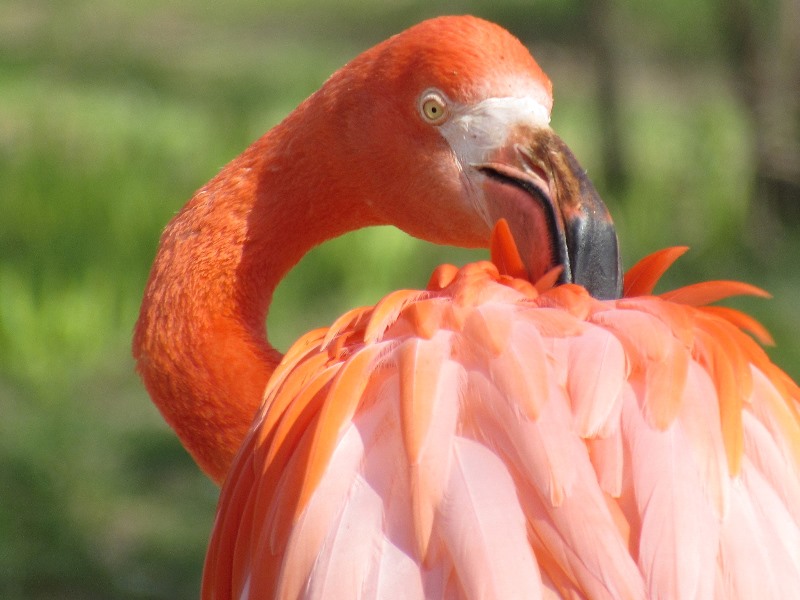 657393831_1565515632246063_5009990922066411688_n