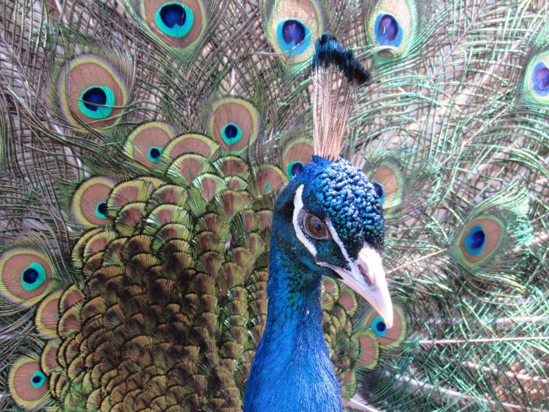 657451354_1565515502246076_8567634090896966986_n