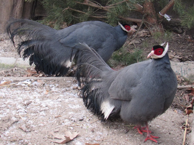 657641820_1565515232246103_4367805888001124081_n