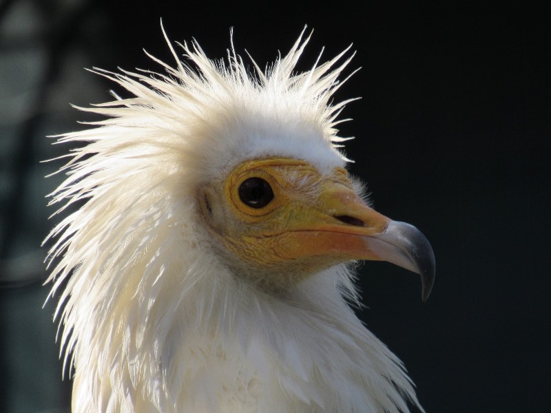 658100869_1565515805579379_1598532844285585229_n