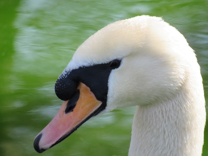 658530842_1565515762246050_5793491398176951601_n