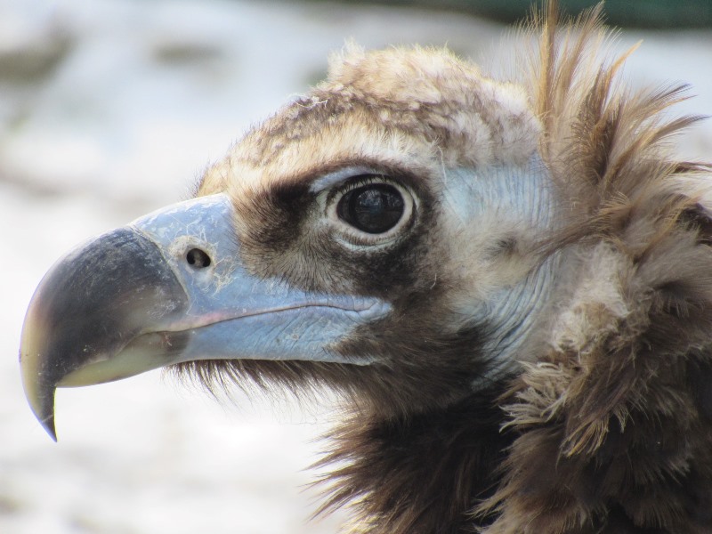 659080773_1565515305579429_8590905274720739017_n