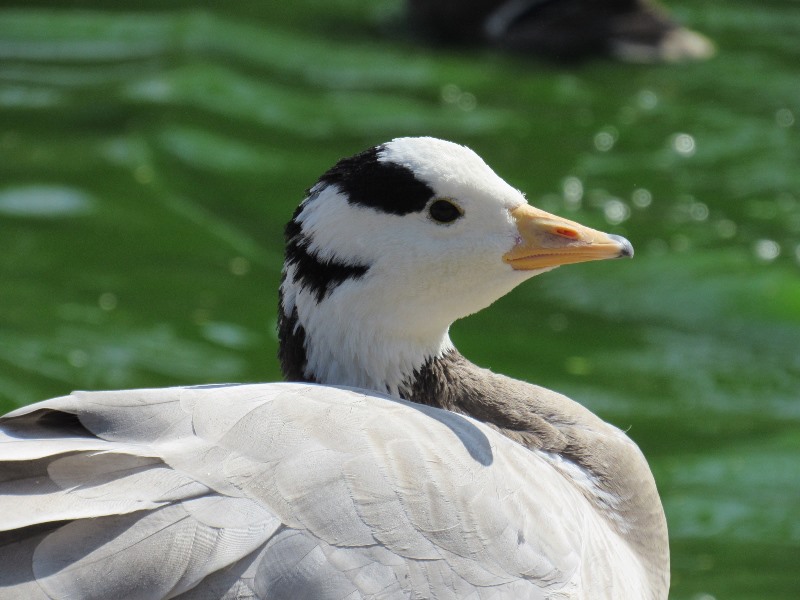 659101756_1565515715579388_8014278545254754947_n