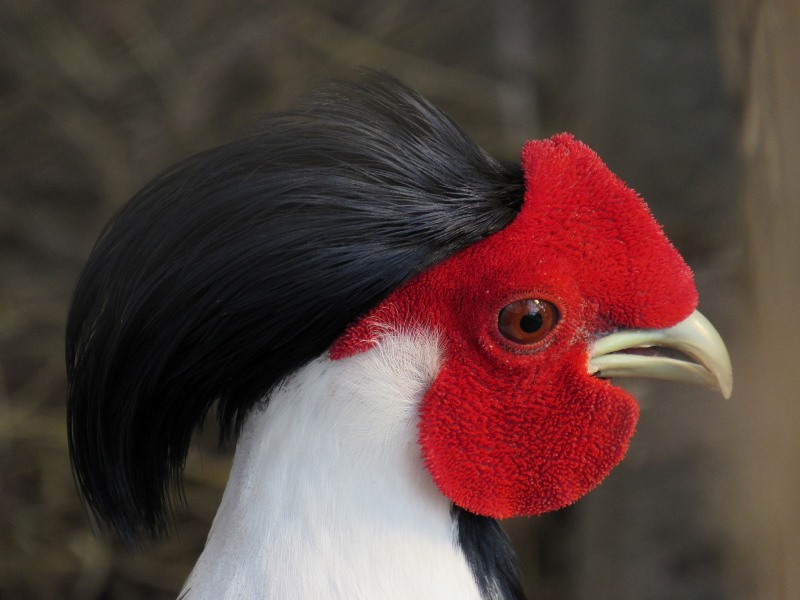 659146879_1565515842246042_5060635099426209038_n