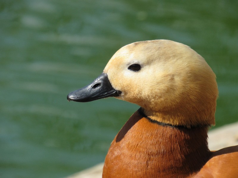 659192531_1565515682246058_1805109690994383667_n