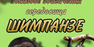 Показове збагачення середовища шимпанзе