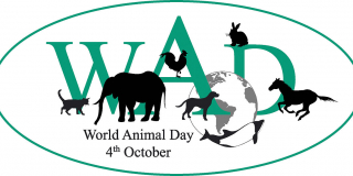  World Animal Day
