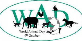 Всесвітній день захисту тварин