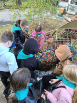 Ecological action on the collection of lids