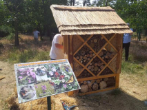 Insect hotel